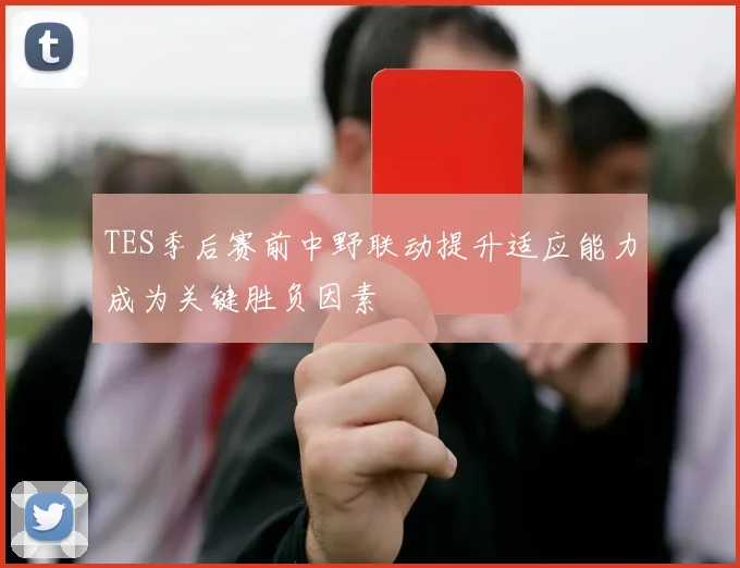 TES季后赛前中野联动提升适应能力成为关键胜负因素